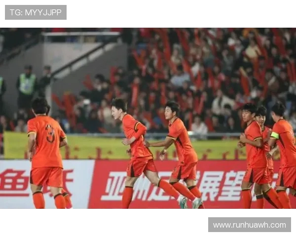 2011年亚预赛中国队对阵越南队精彩回顾与赛后分析