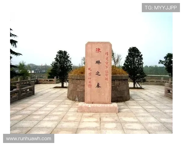 休斯敦对盐城湖精彩直播全程回顾及赛后分析