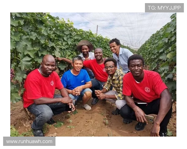 俞长栋：在新时代背景下的科技创新与经济发展探索之路