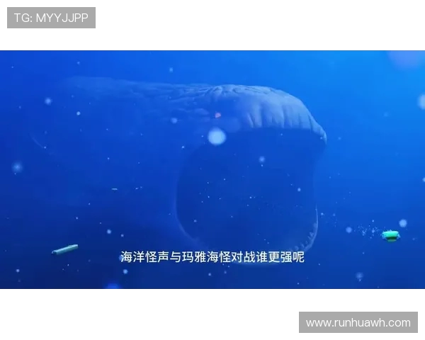 墨西哥与波多黎各排球对决精彩纷呈谁能赢得胜利的荣耀