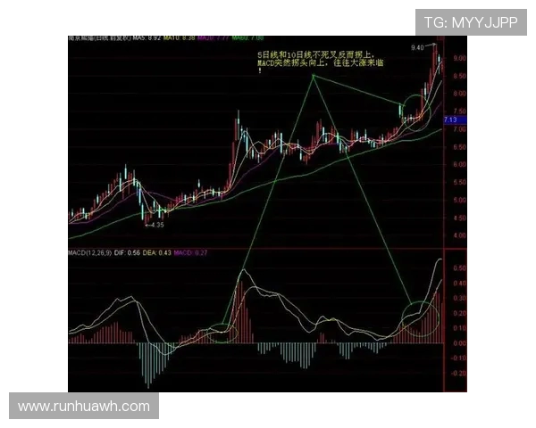 武汉羽毛球队反击战术解析与实战应用探讨