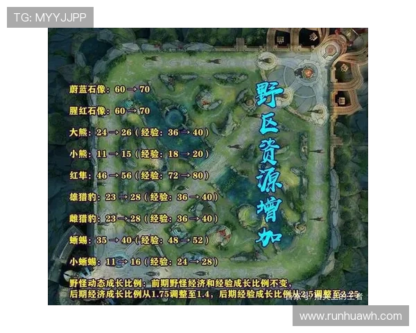 王者荣耀V5战队心理素质分析与团队协作的重要性探讨